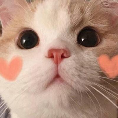 Phạm Hoàng Việt avatar